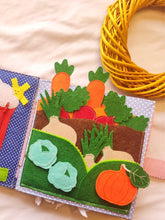Playful Pal Toys