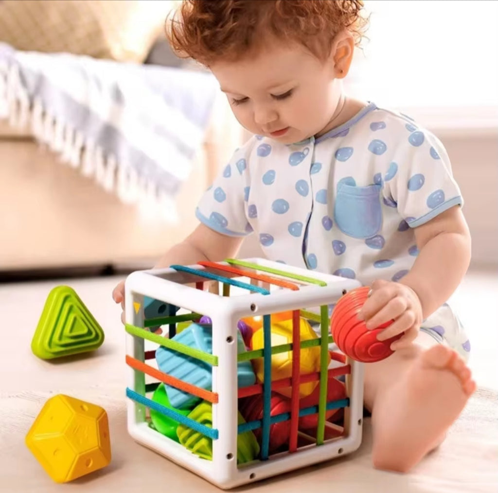 BABY RATTLE - IBI-IRN 2 In 1 Shape Sorting Box